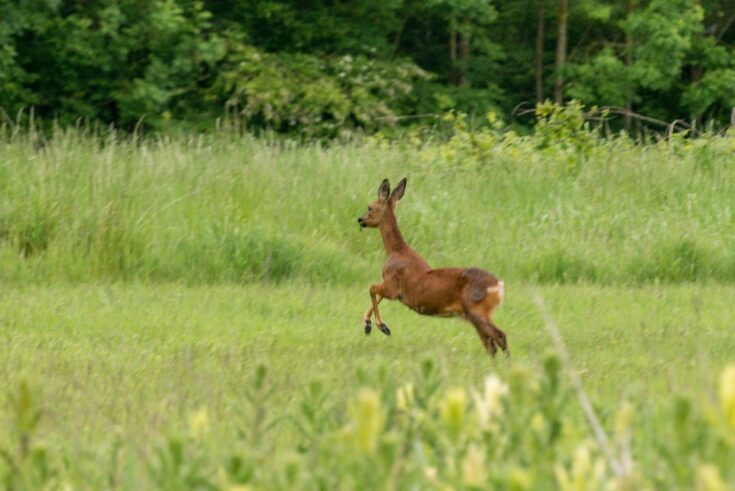 Bridlington Links Golf & Leisure Estate