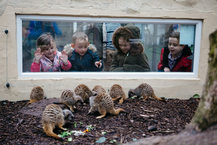 Williamson Park – Ashton Memorial near Docker Lodge Park Kirkby Lonsdale