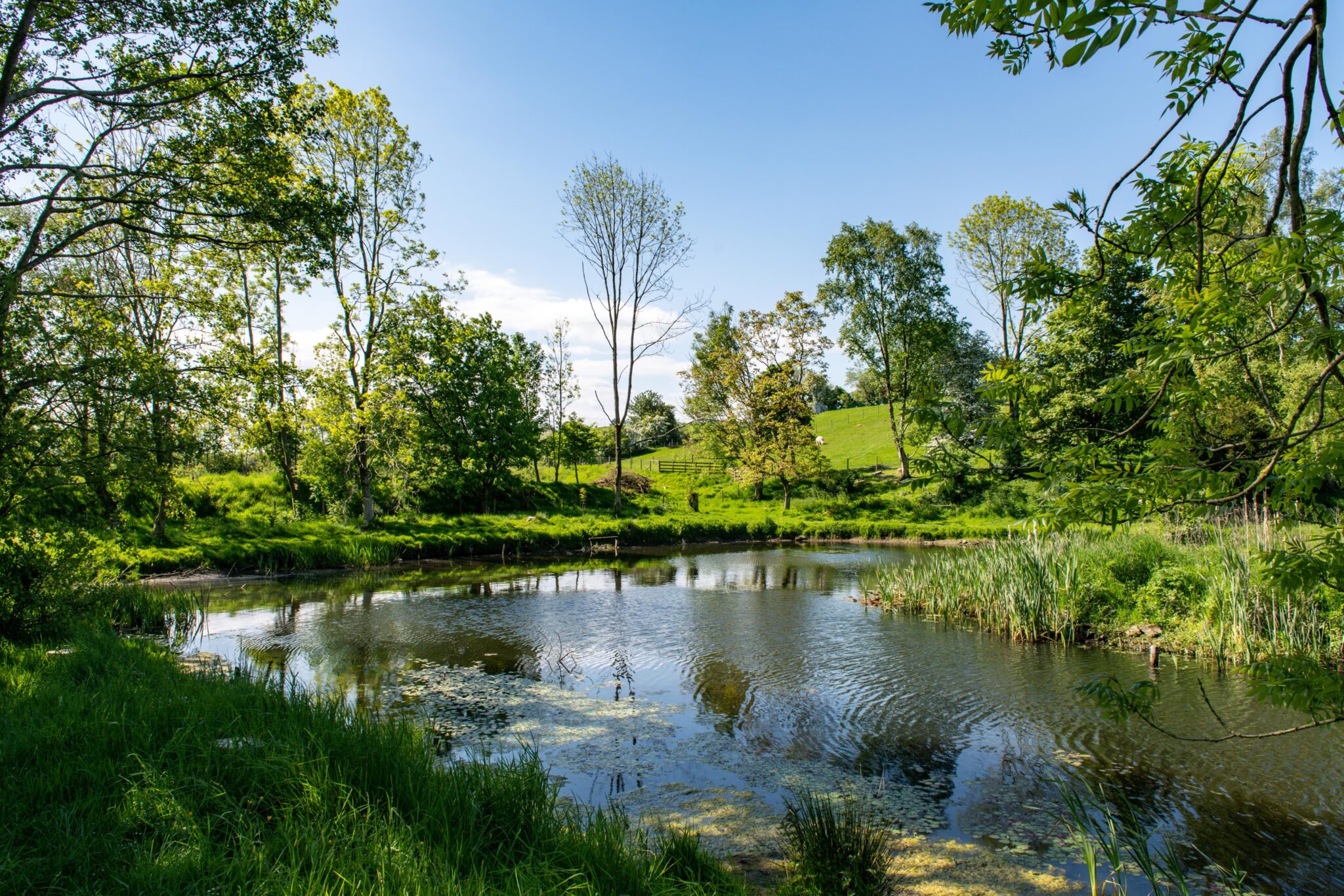 Docker Lodge Park Fishing, near Kirkby Lonsdale