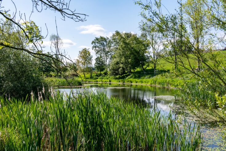 Docker Lodge Park Fishing, near Kirkby Lonsdale