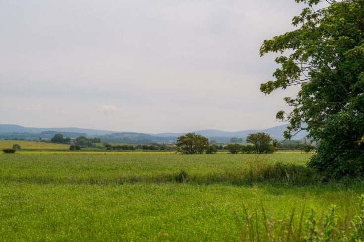 Holiday Homes for sale in Lancashire at Cockerham Sands Holiday Park